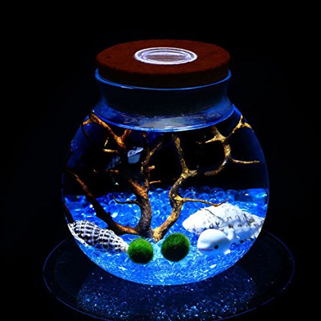 Product newdreamworld azul Marimo Acuario Kit con ORB jarra de cristal