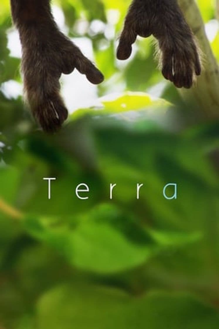 Película Terra