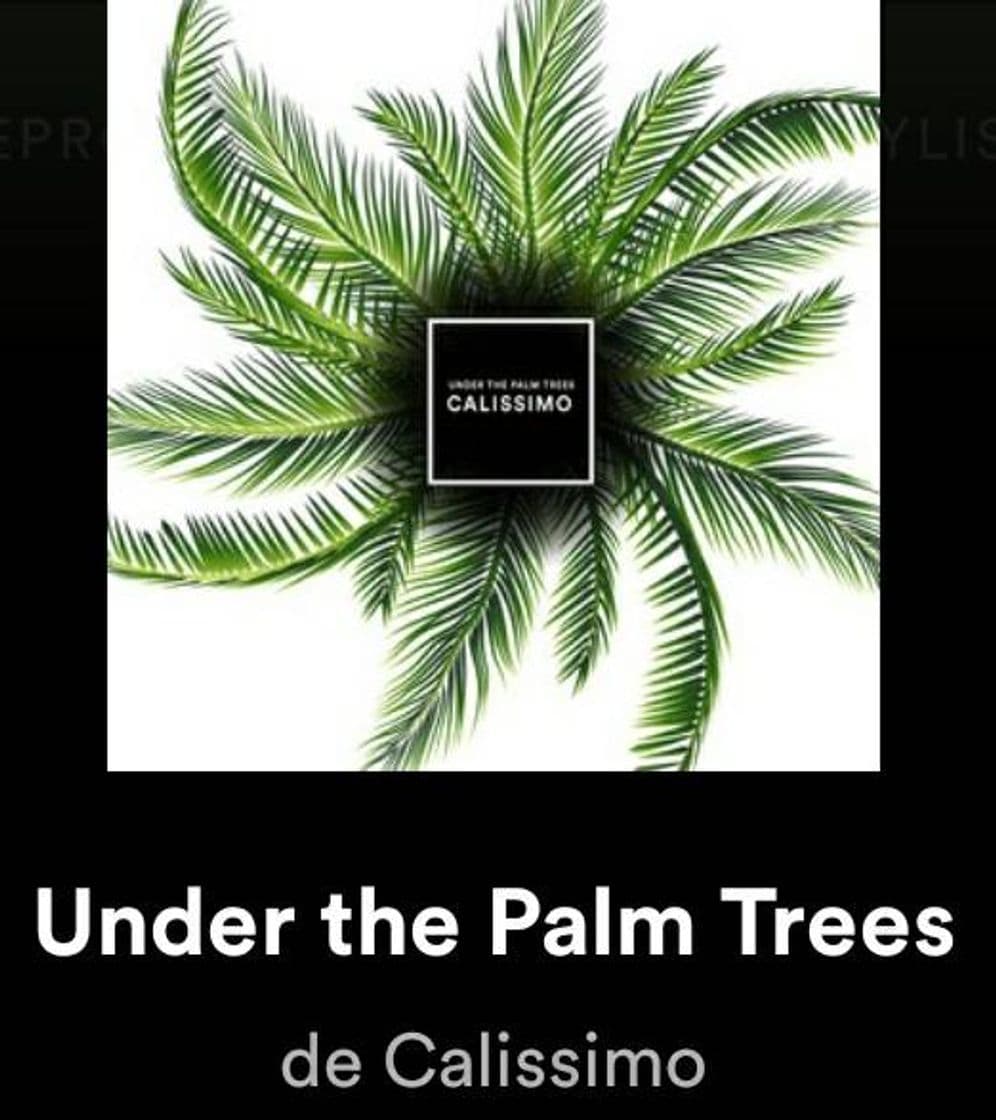 Music Under the palm trees