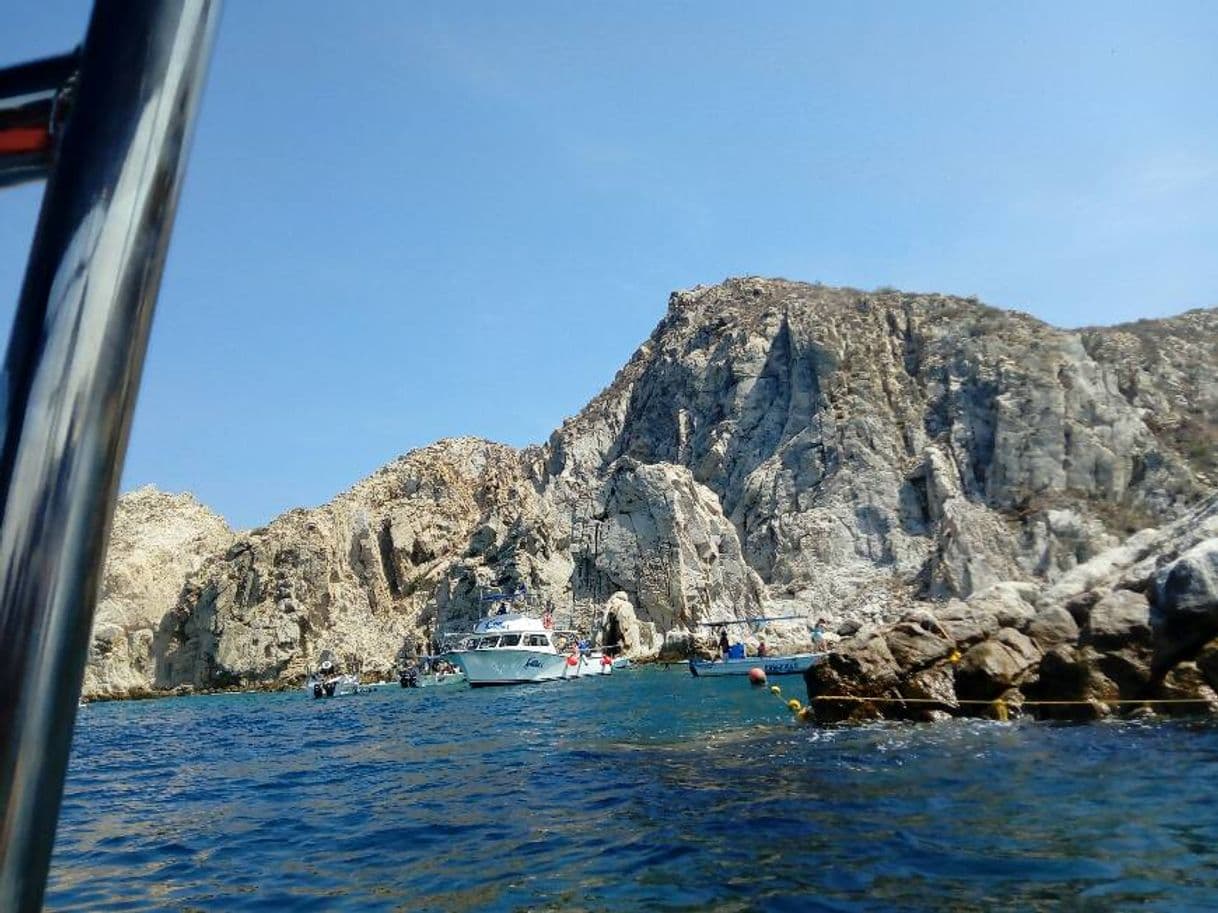 Lugar Los Cabos