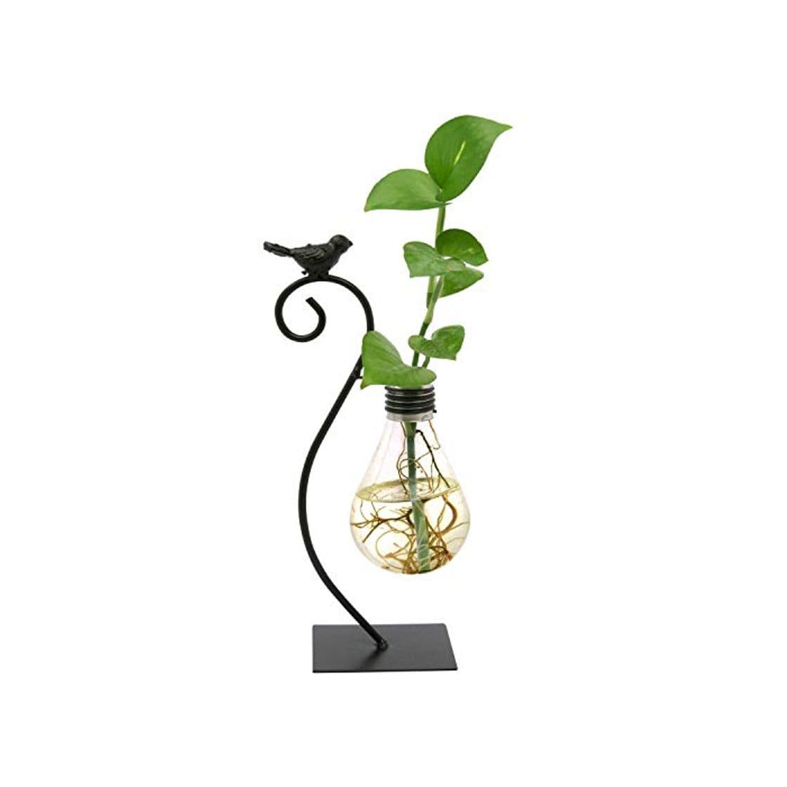 Product Maceta Decorativa Cristal Sobremesa Jarrón Plantas Hidroponicas Bombilla con Diseño de Ave