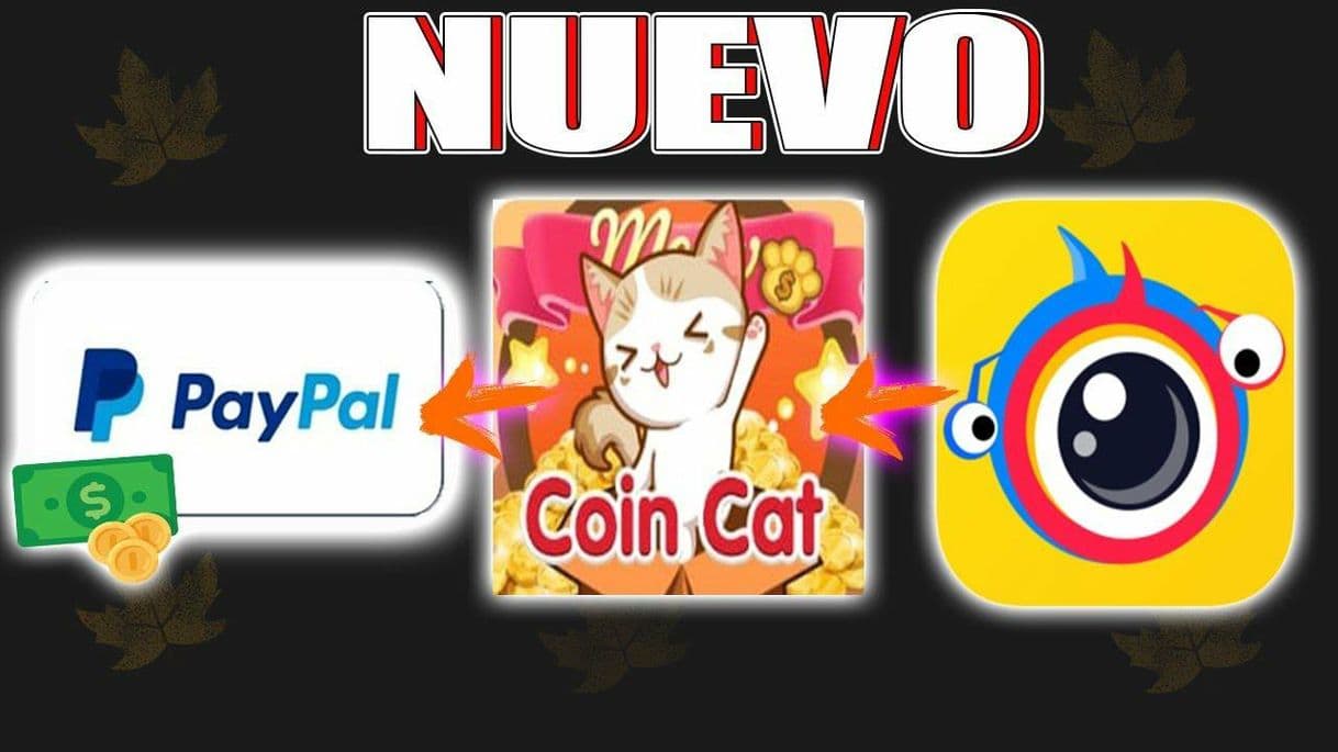 Moda Vender gato nivel 37 clap coins