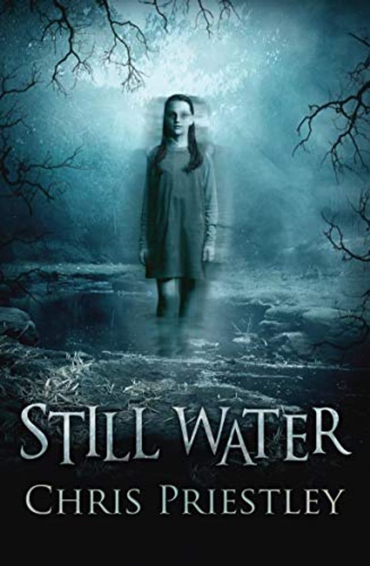 Book Priestley, C: Still Water