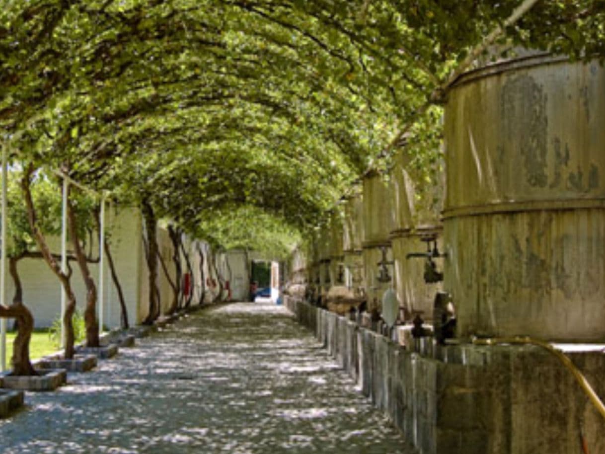 Lugar Parras de la Fuente