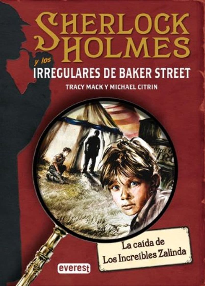 Libro SHERLOCK HOLMES y los irregulares de Baker Street