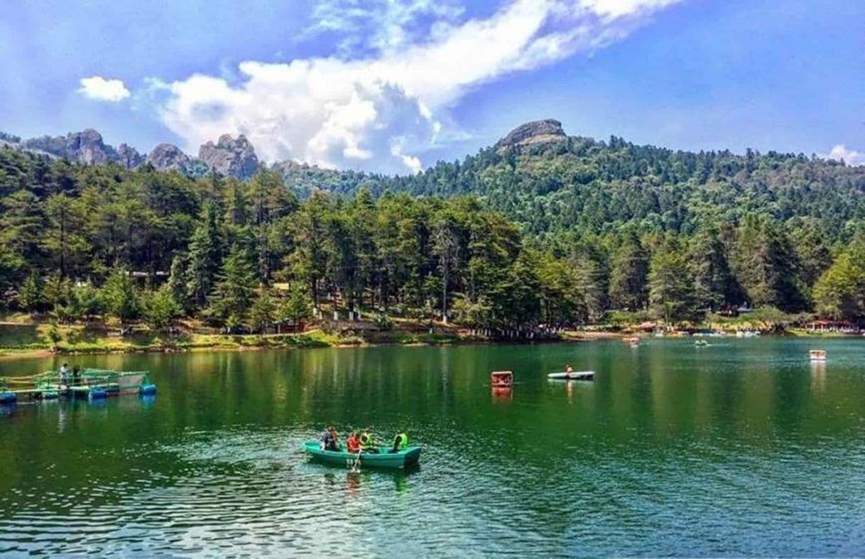 Lugar Parque Nacional El Chico