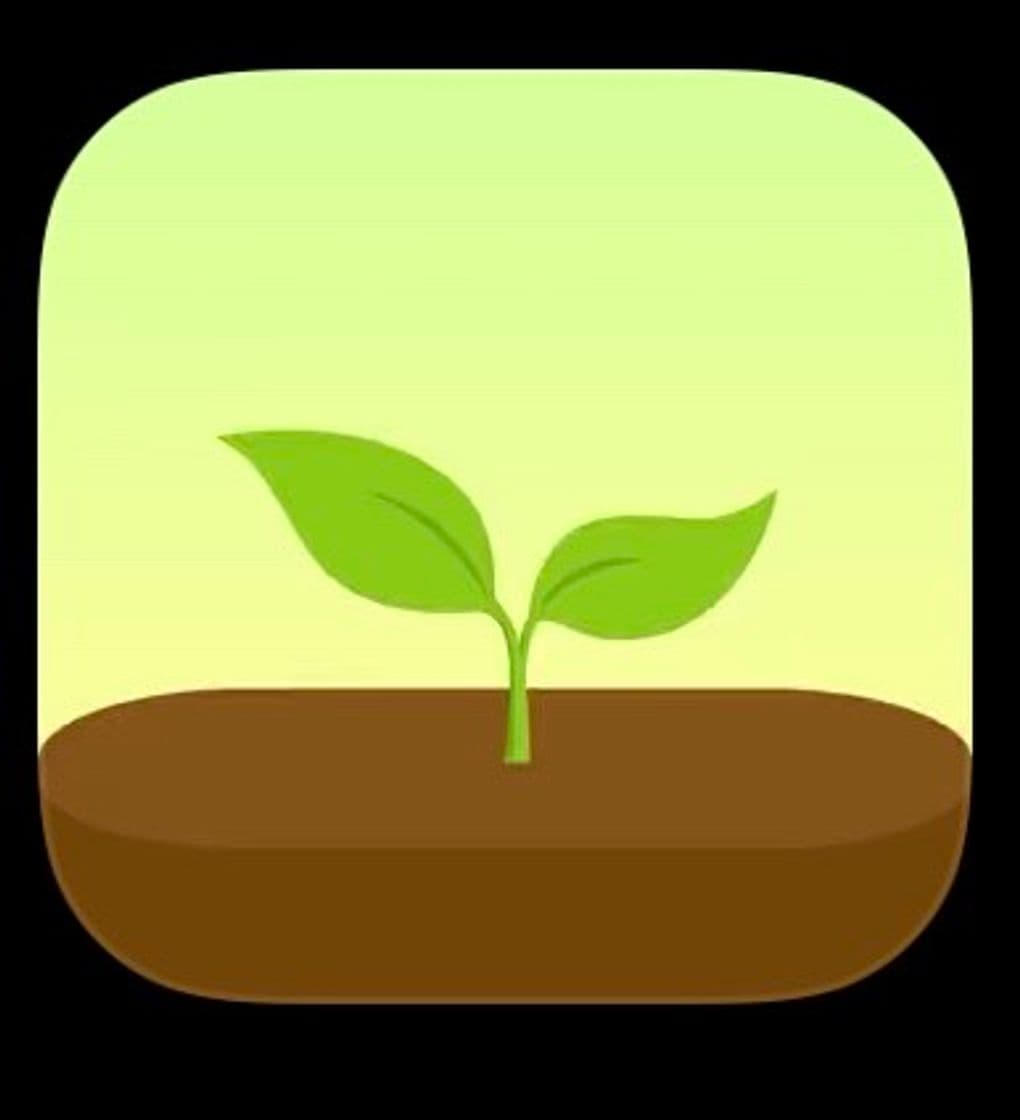 App Forest