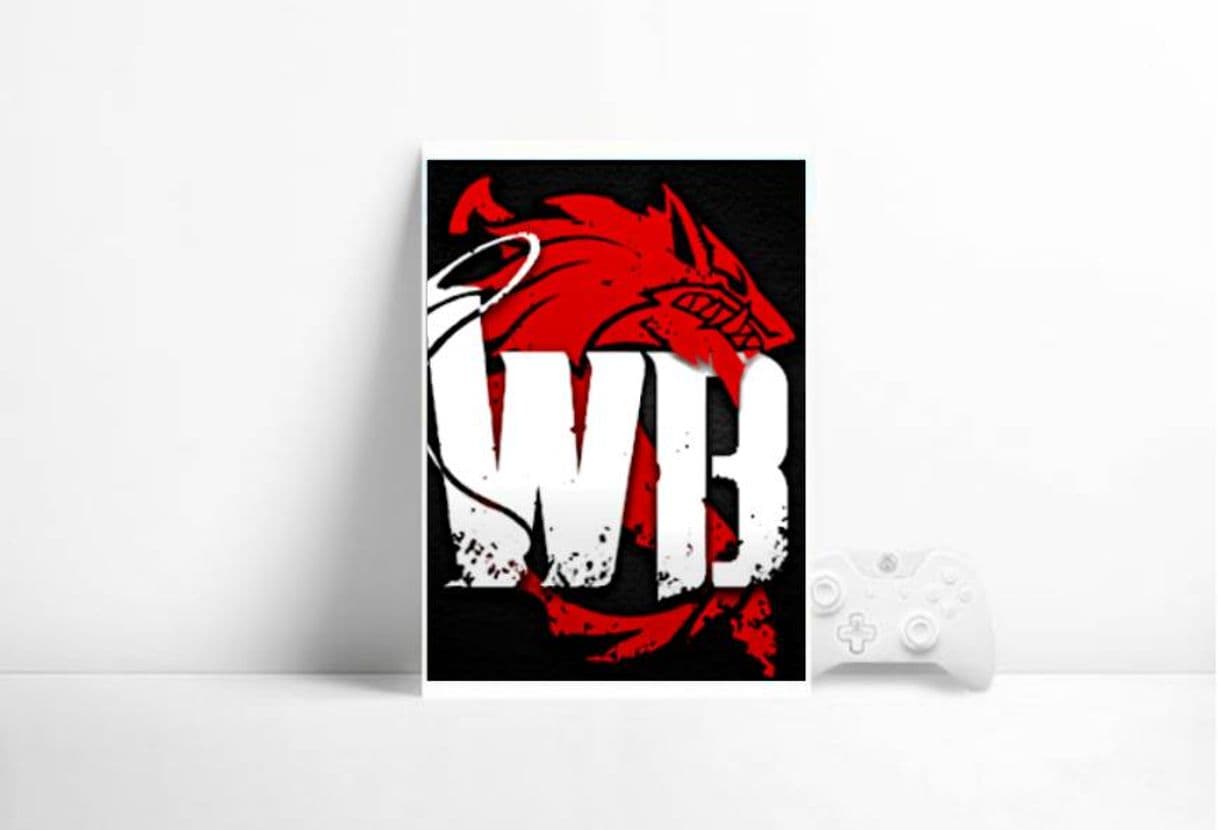 Videojuegos Wild Born