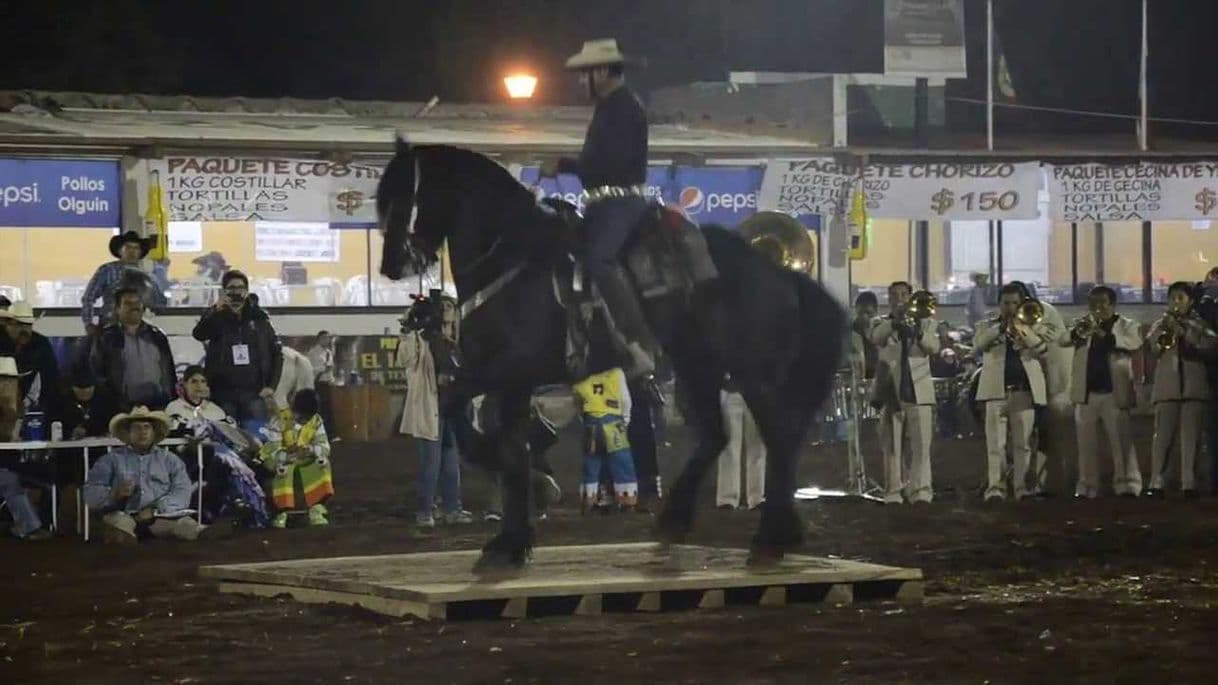 Lugar Feria del caballo Texcoco FICT