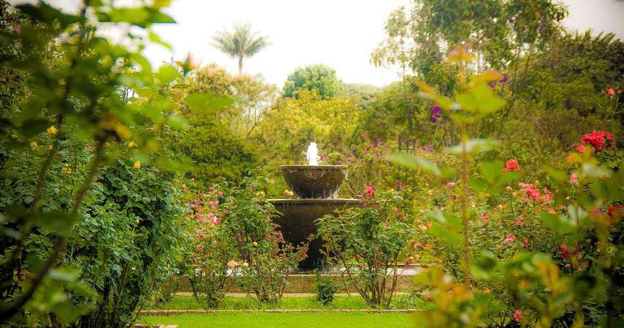 Lugar Jardín Botánico