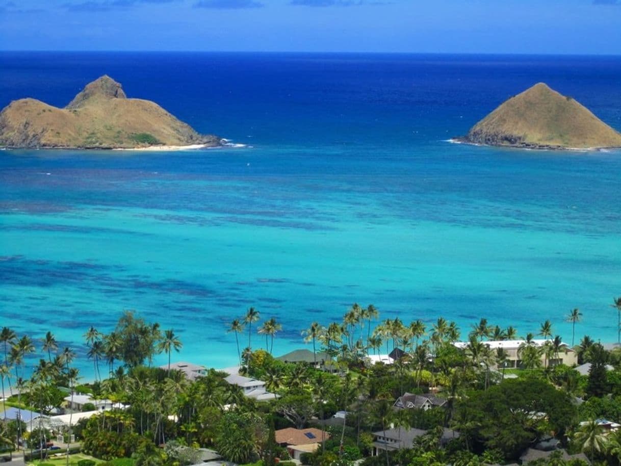 Lugar Lanikai Beach, Havaí

