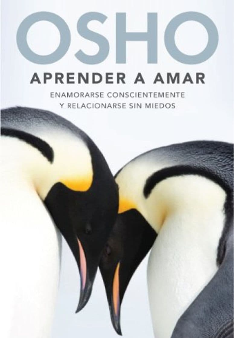 Libro Aprender a amar: Enamorarse conscientemente y relacionarse sin miedos