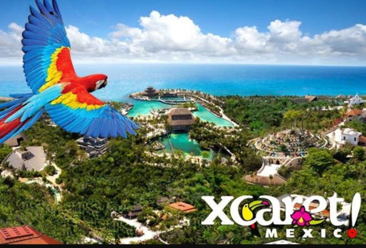 Place XCARET