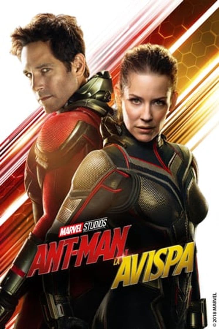 Película Ant-Man and the Wasp