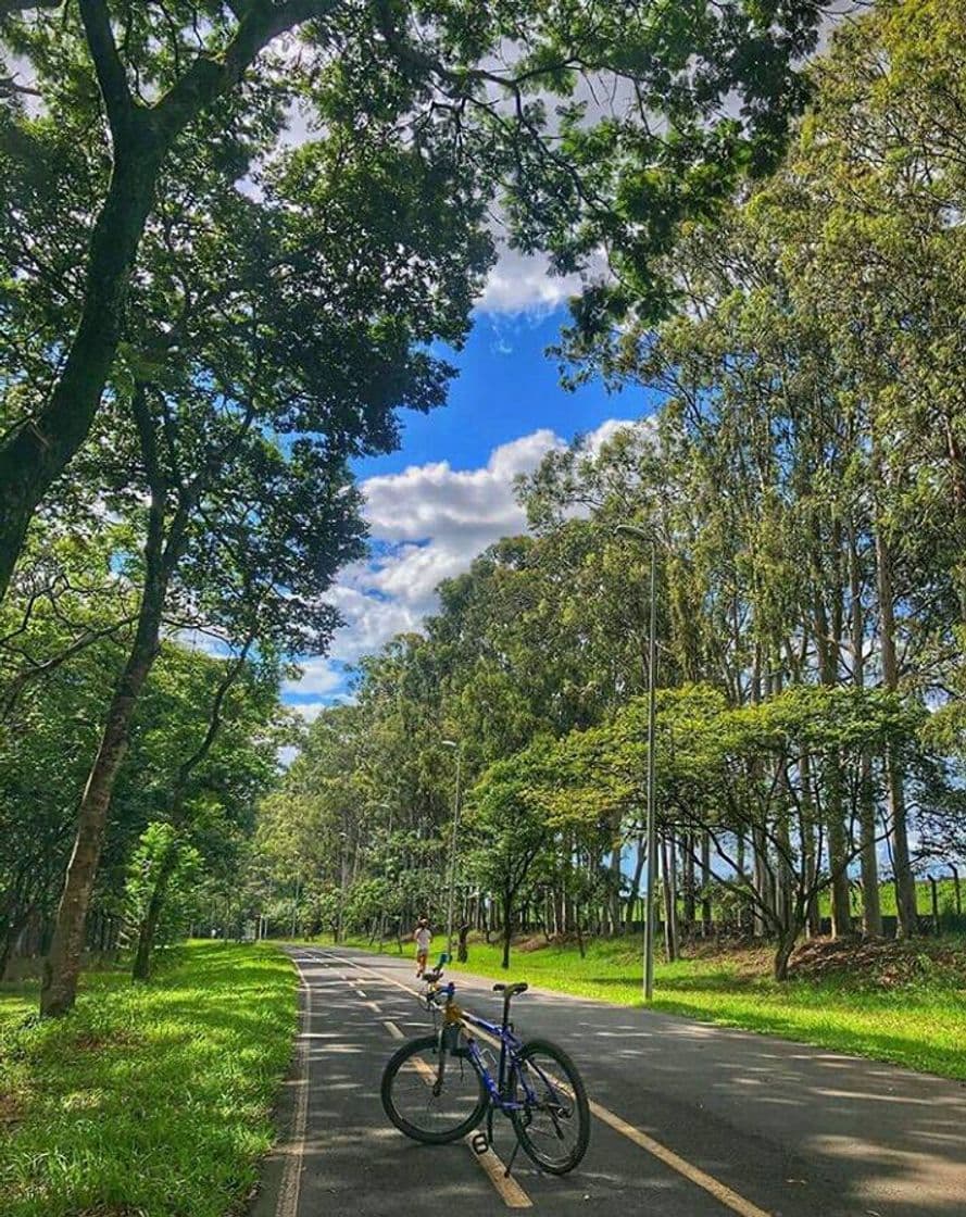 Place Parque do Sabiá Uberlândia