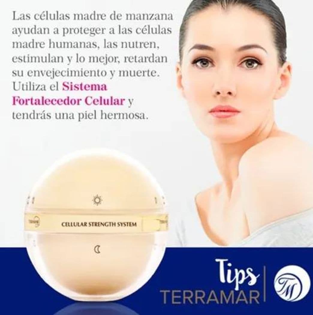 Fashion Crema células madre para el cutis 