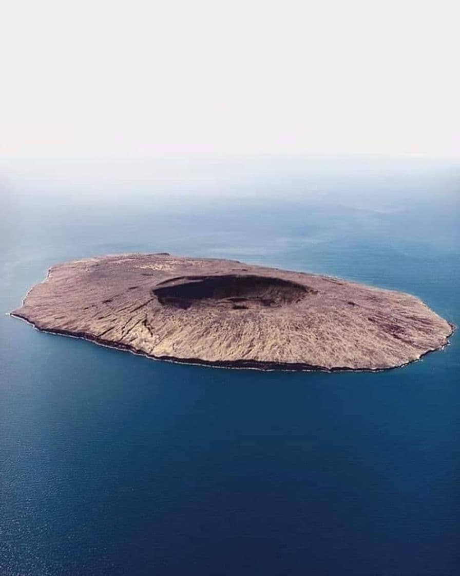 Lugar Isla tortuga, Santa Rosalía BCS 