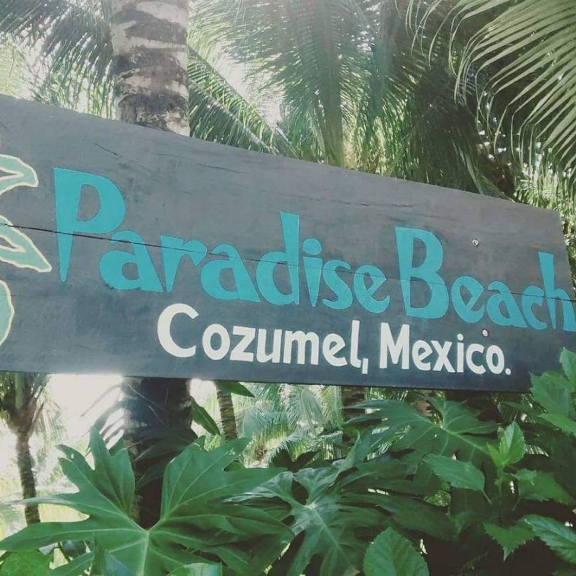 Place Paradise Beach Cozumel