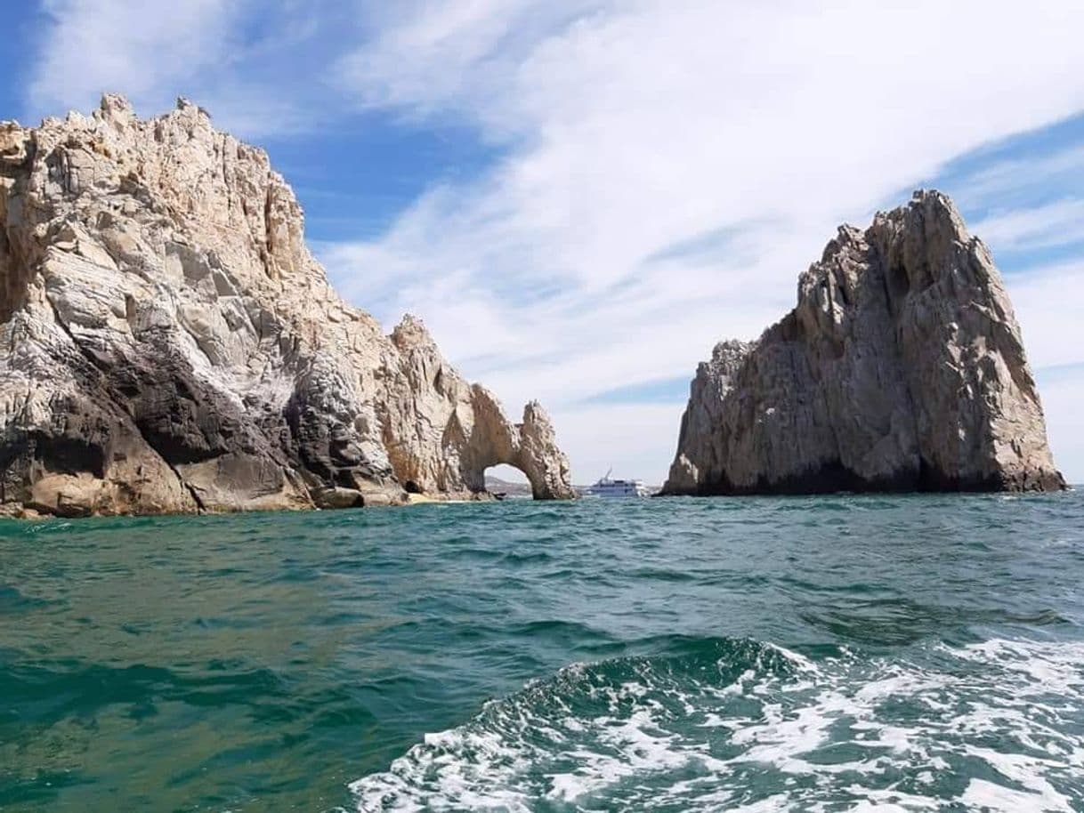 Place Los Cabos