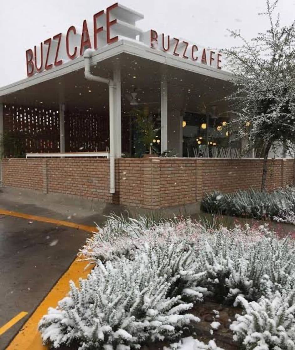 Restaurants BUZZCAFÉ