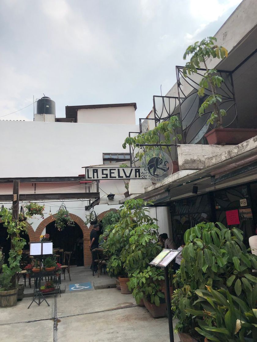 Restaurants La Selva Café