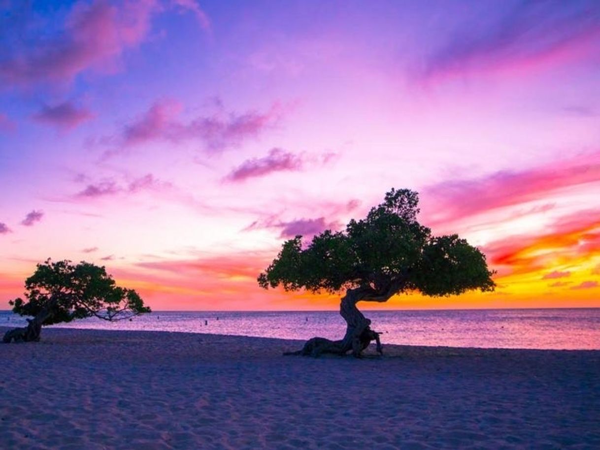 Place Eagle Beach - Aruba