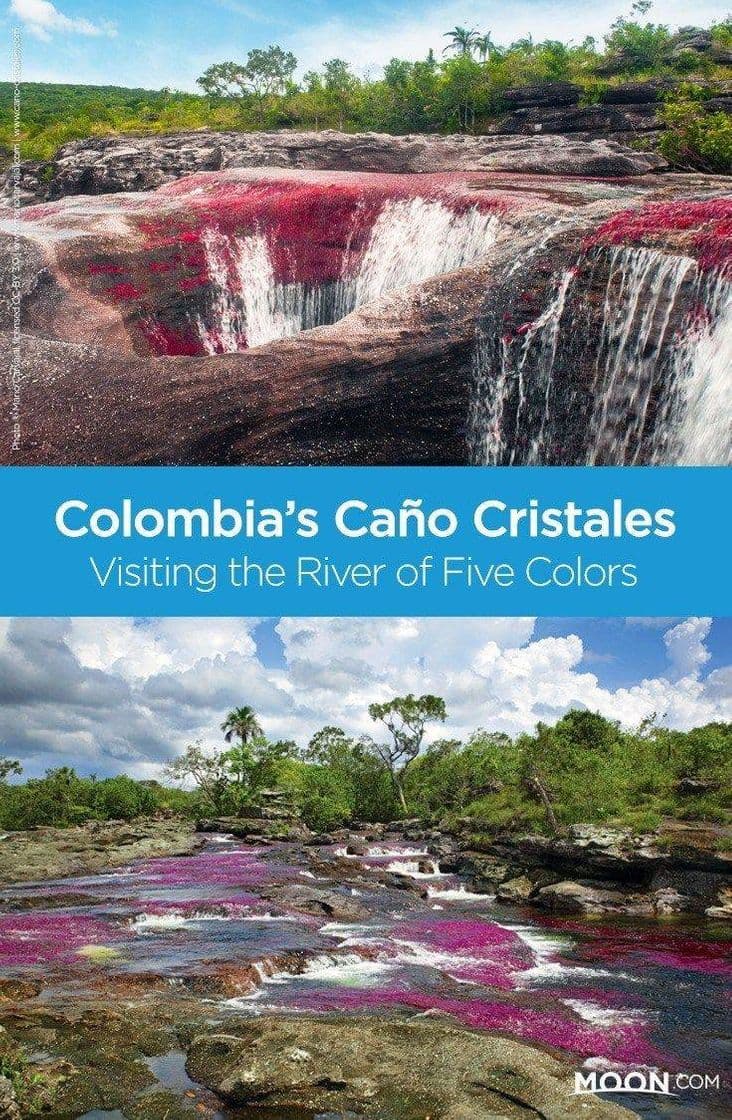 Lugar Caño Cristales