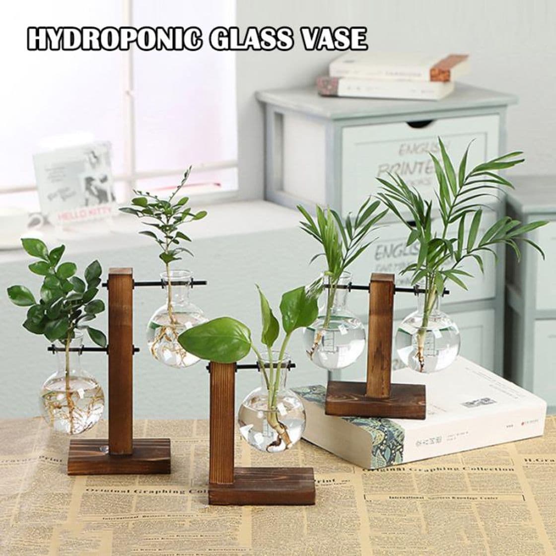 Producto Maceta Decorativa Cristal Sobremesa Jarrón Plantas Hidroponicas Bombilla con Diseño de Ave