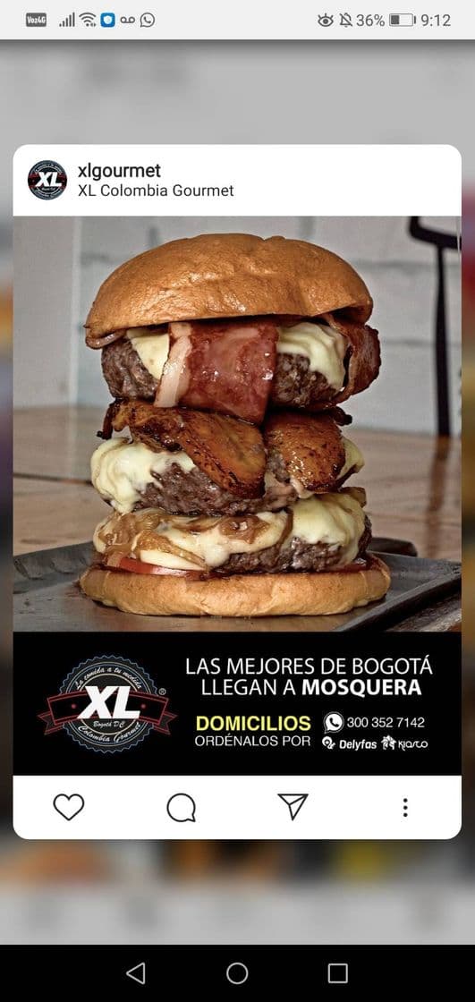 Fashion XL burgers