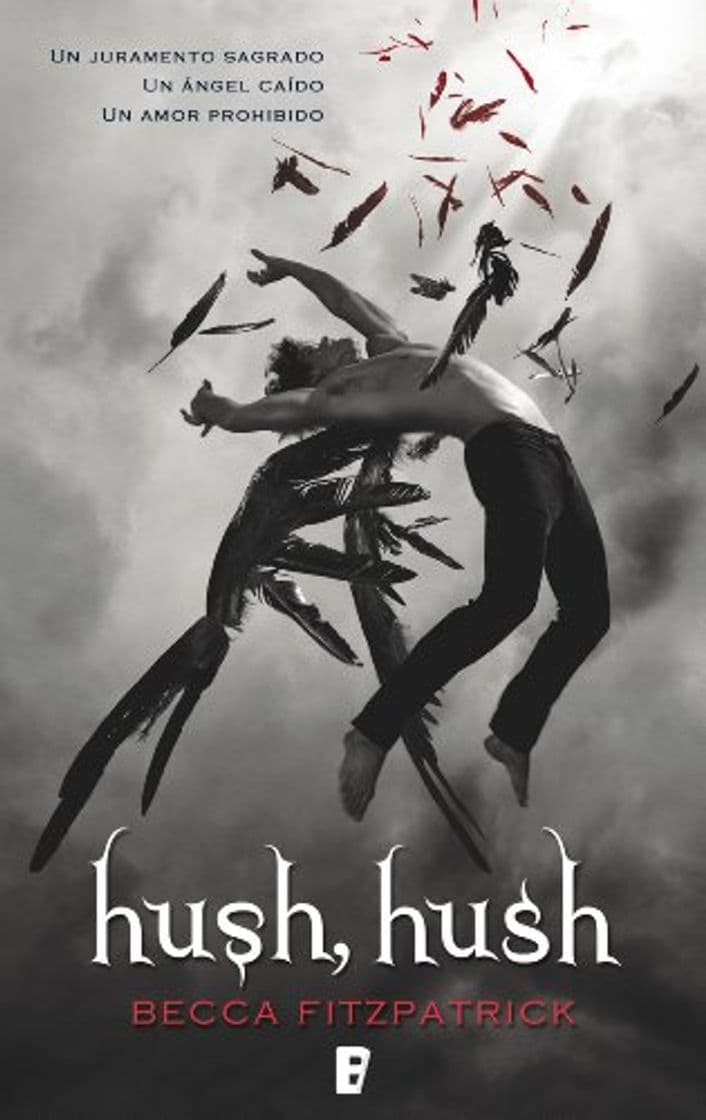 Book Hush, Hush