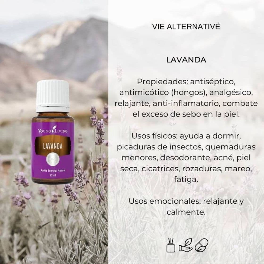 Fashion Aceite esencial de Lavanda 💜