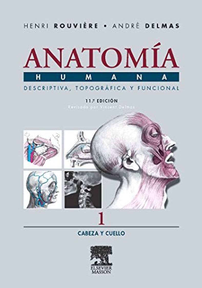 Book Anatomía Humana Descriptiva