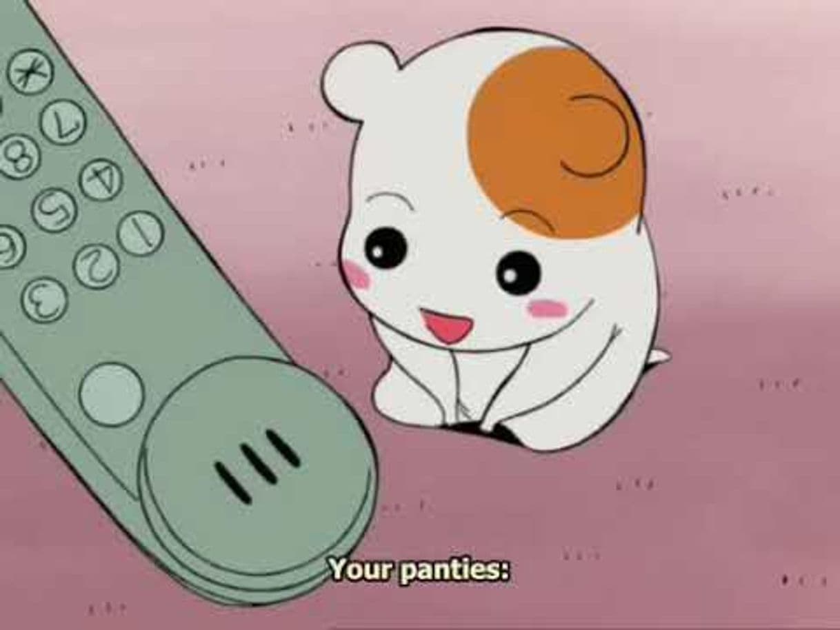 Serie Oruchuban Ebichu