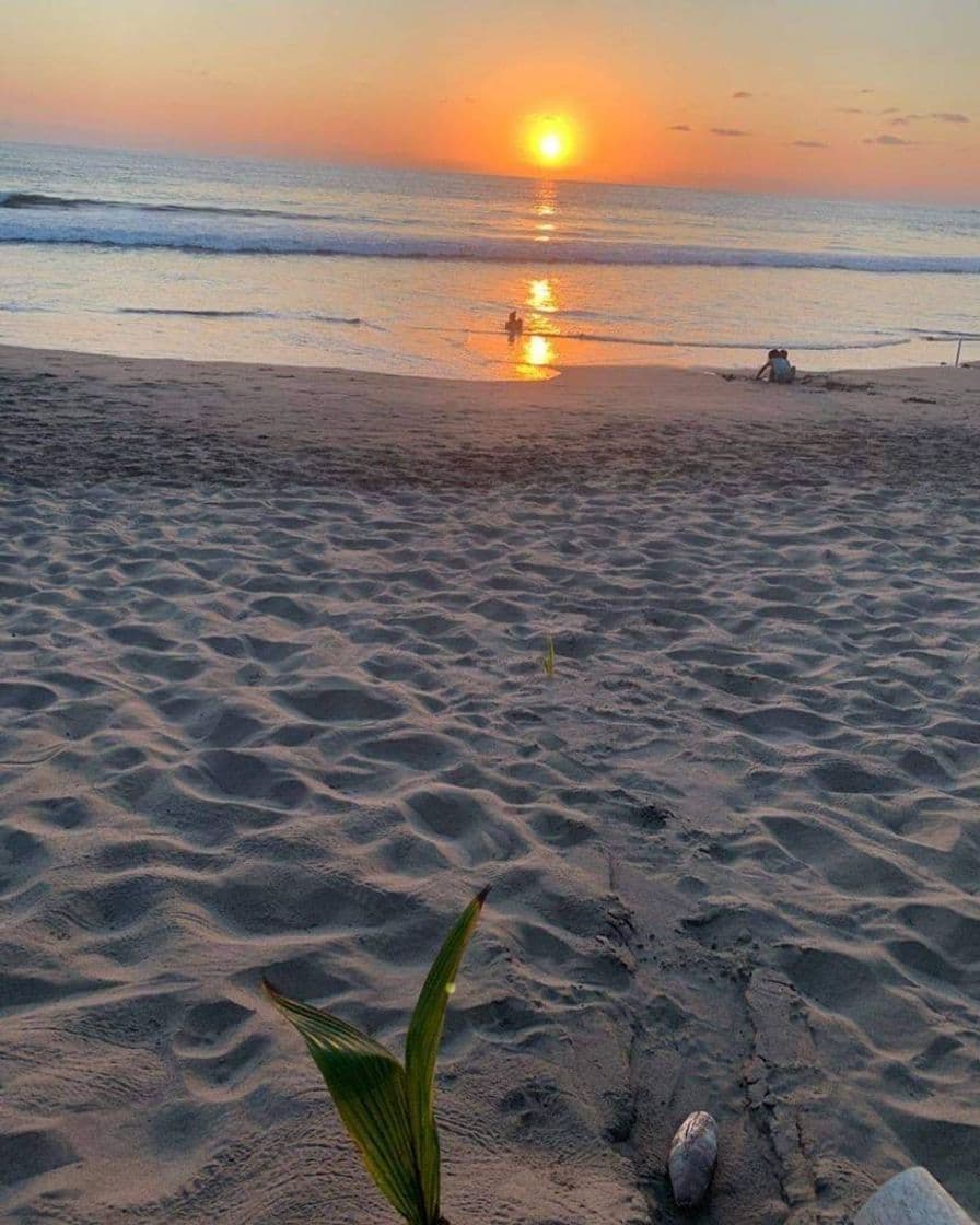 Lugar Ixtapa-Zihuatanejo