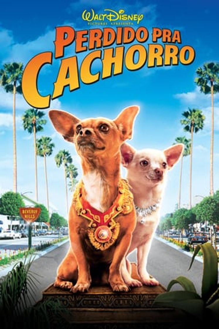 Movie Beverly Hills Chihuahua