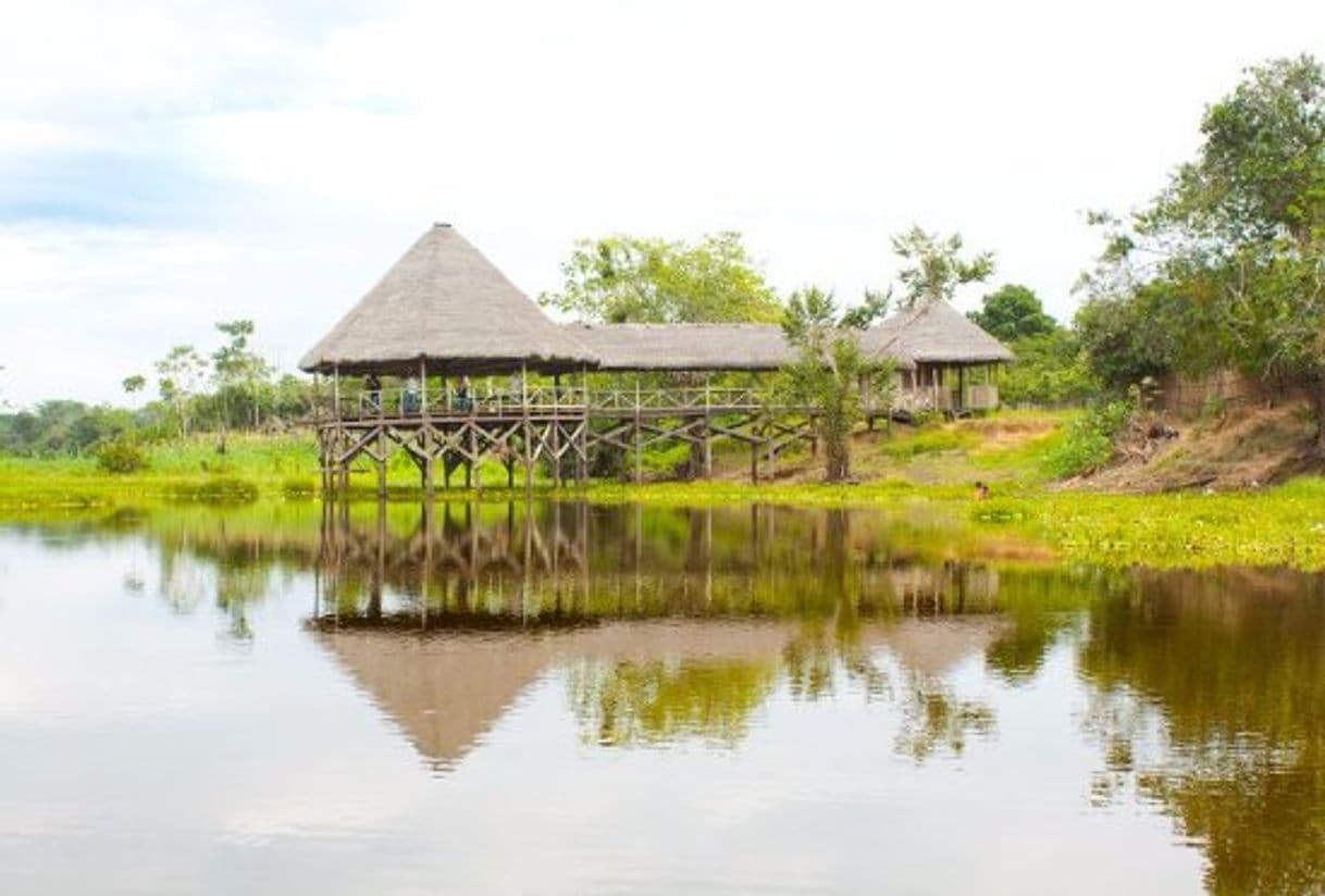 Lugar Lago Cuipari