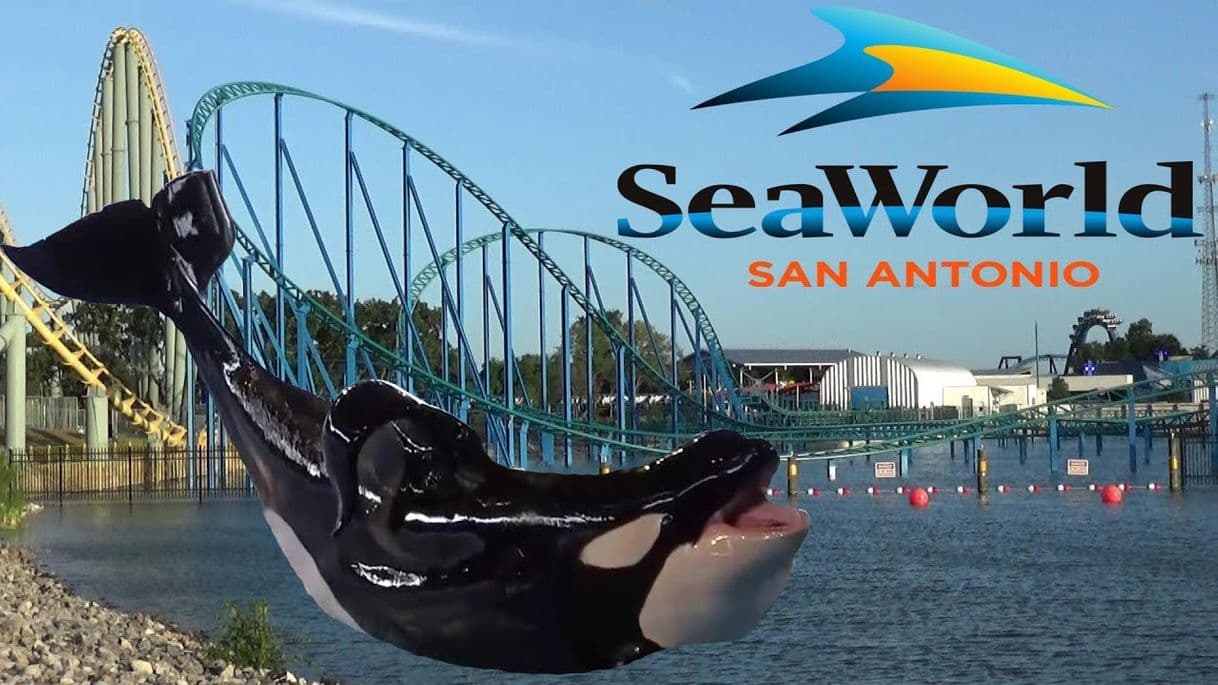 Place SeaWorld San Antonio