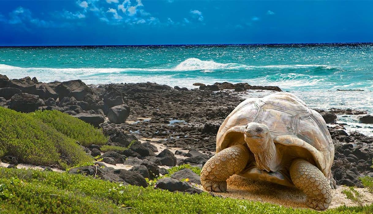 Lugar Galapagos Islands