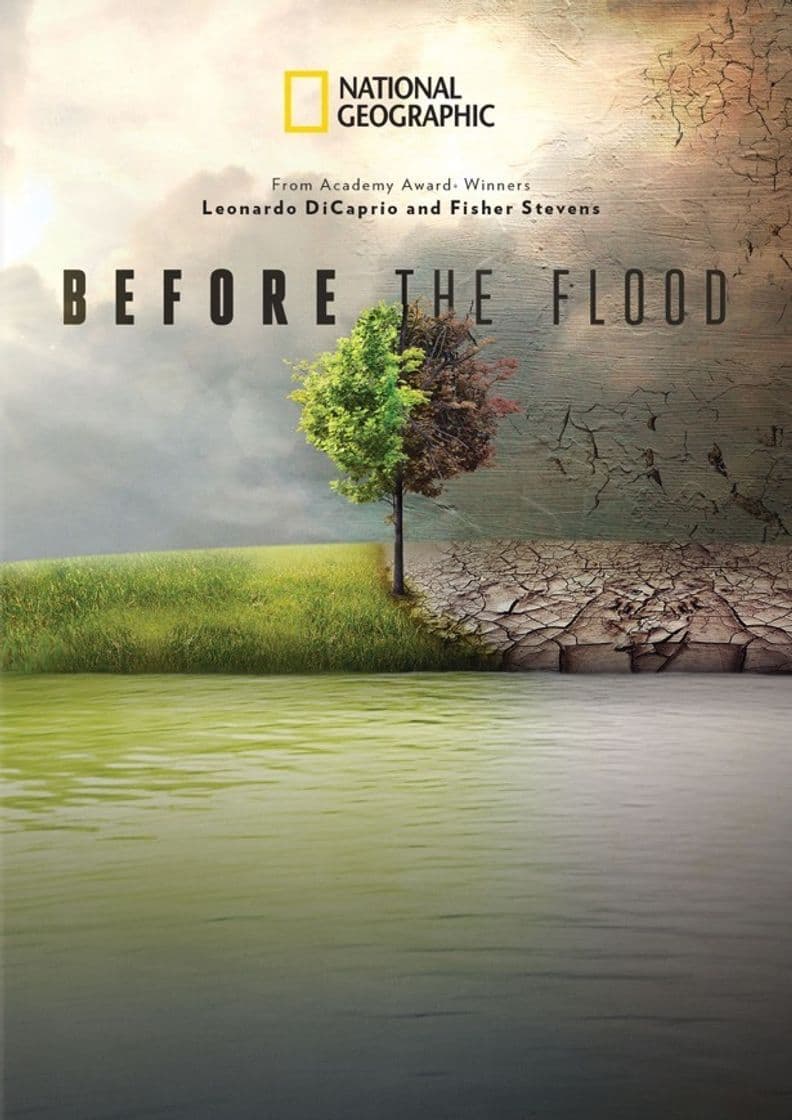 Movie Before the Flood