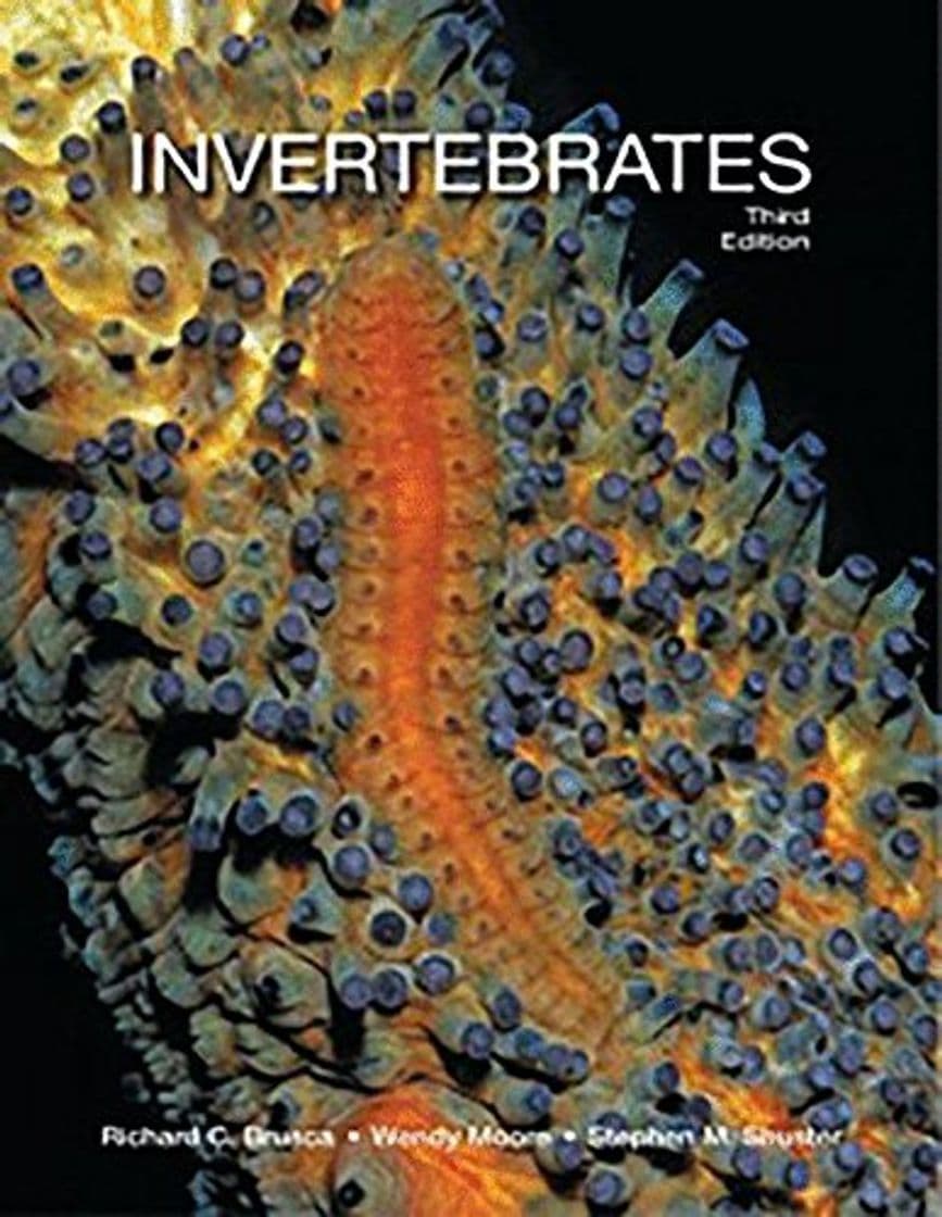 Book Invertebrates