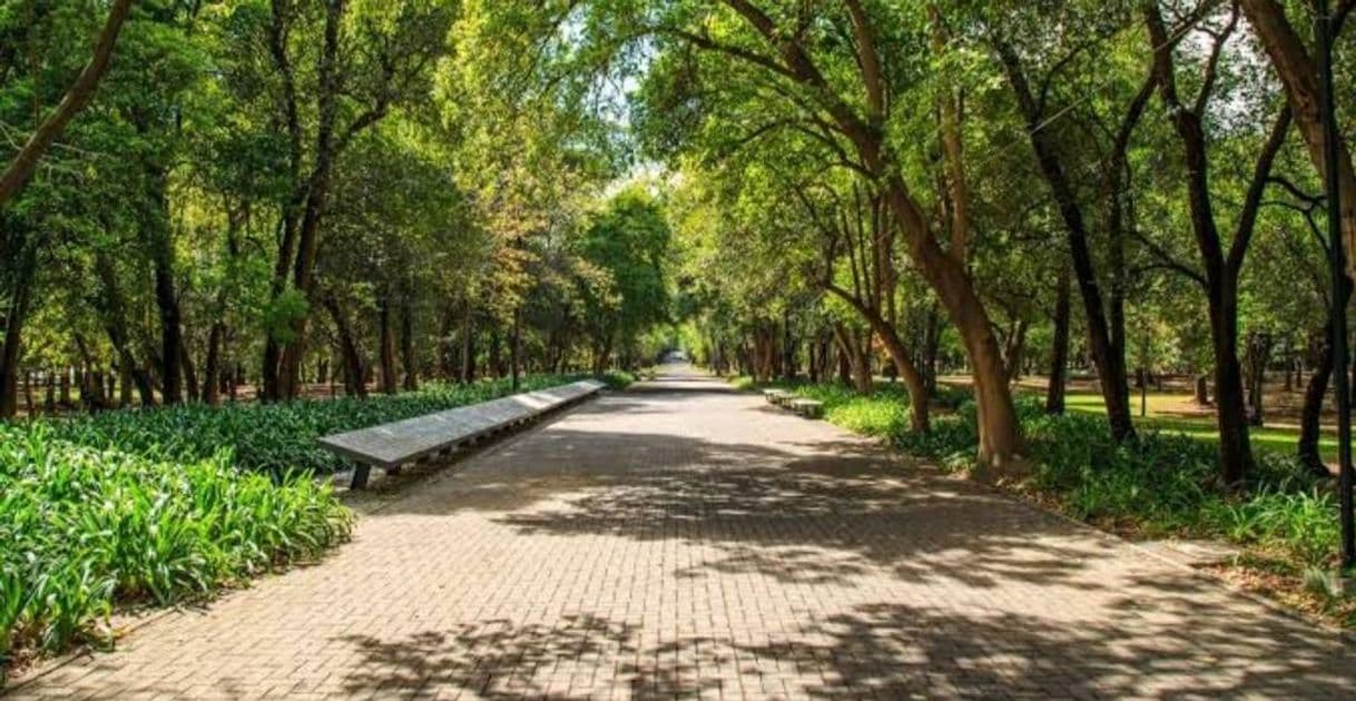 Lugar Bosque de Chapultepec