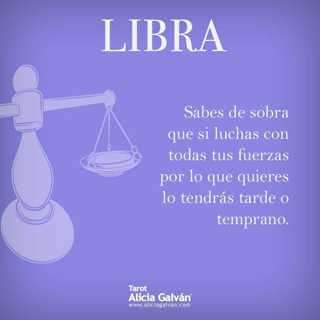 Fashion Libra 