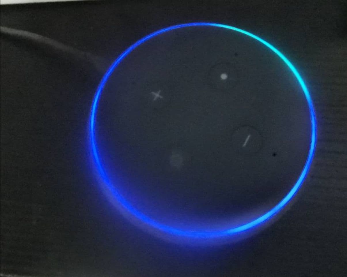 Electronic Echo Dot