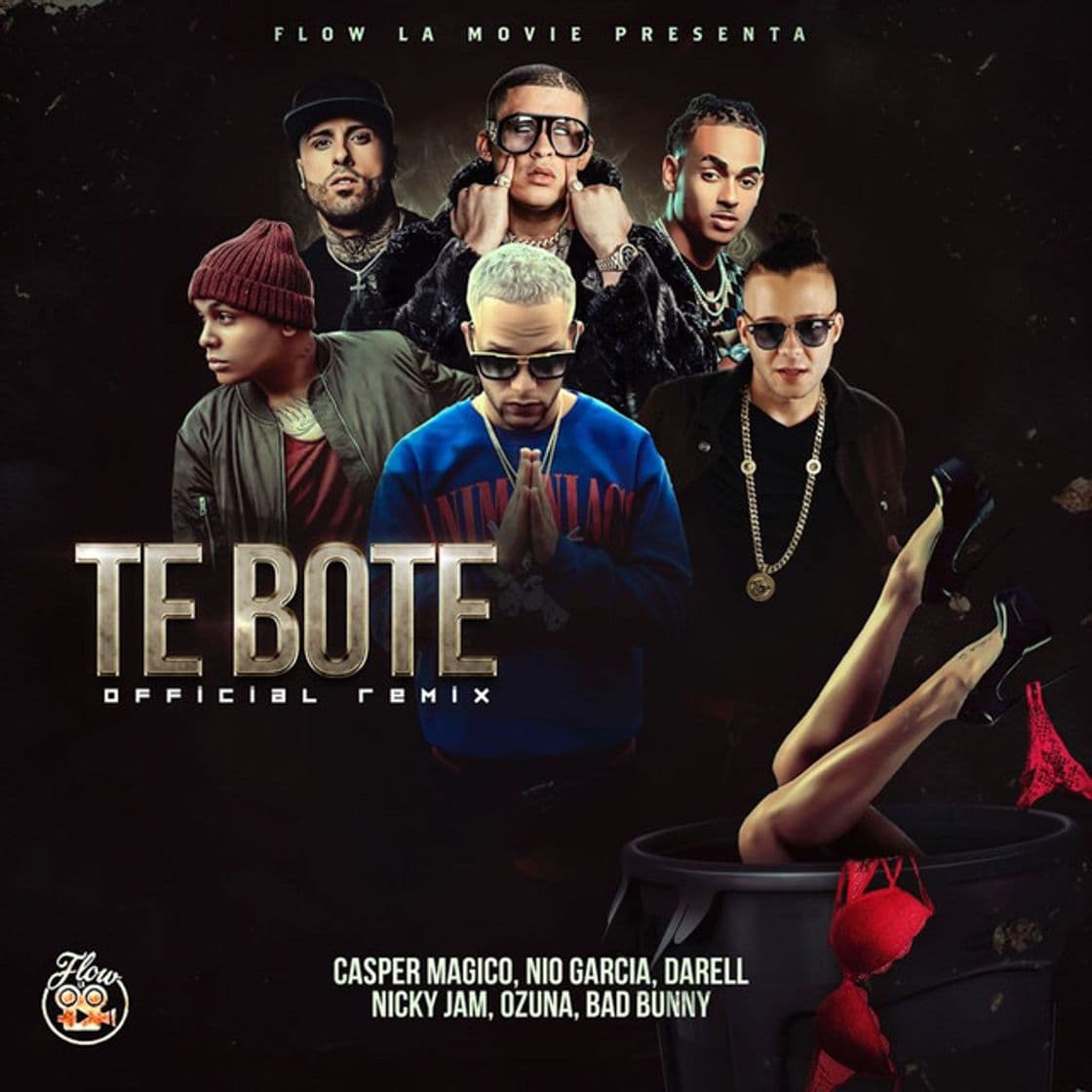 Canción Te Boté - Remix