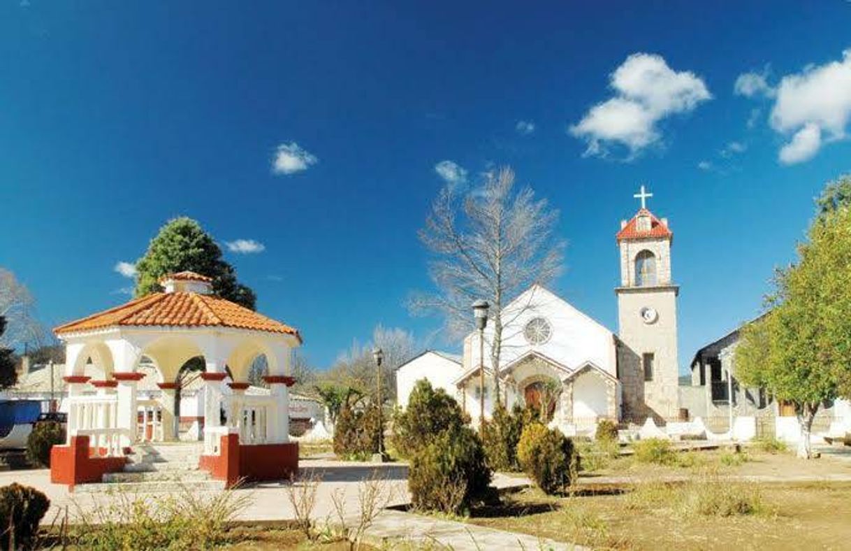 Place Yécora