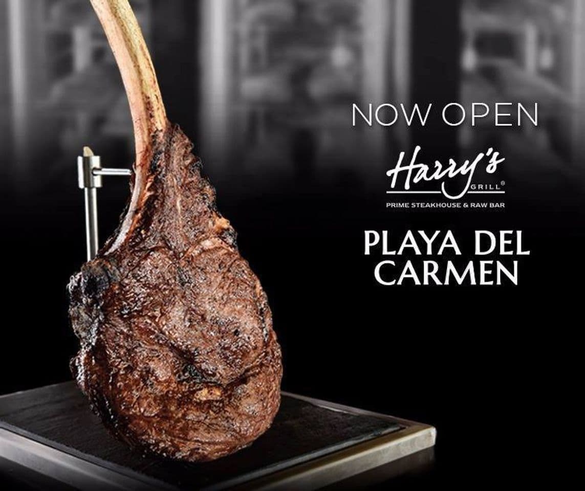 Restaurantes Harry's Steakhouse & Raw Bar | Playa del Carmen