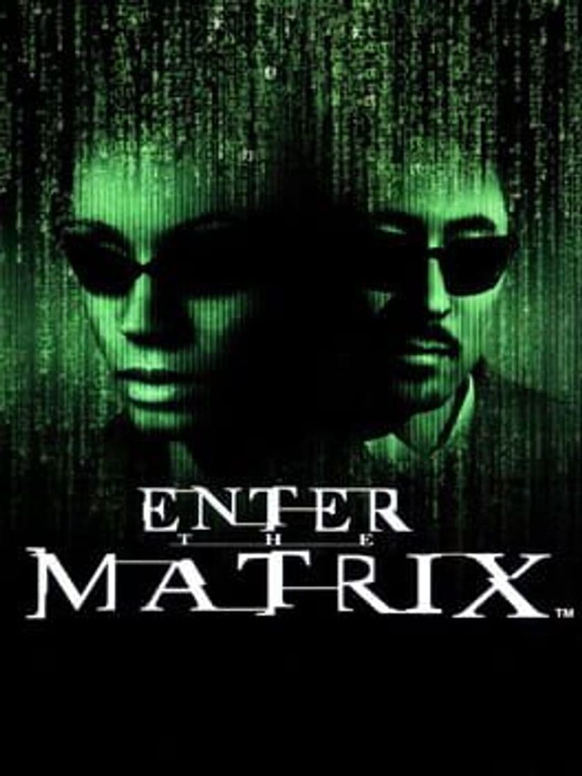 Videogames Enter the Matrix