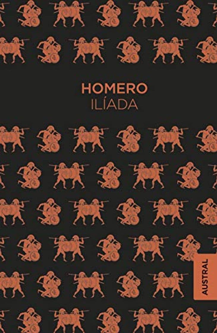 Libro Ilíada