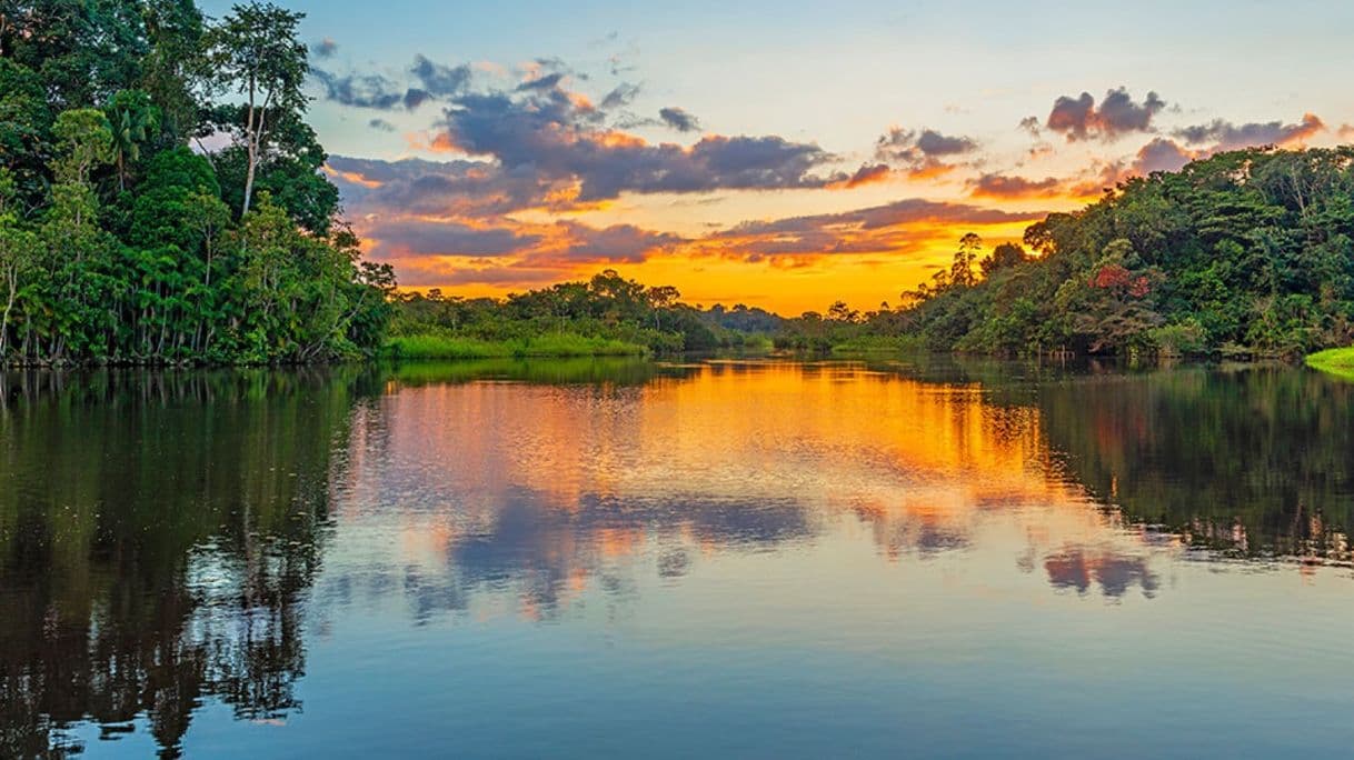 Lugar Ecuador Amazónico