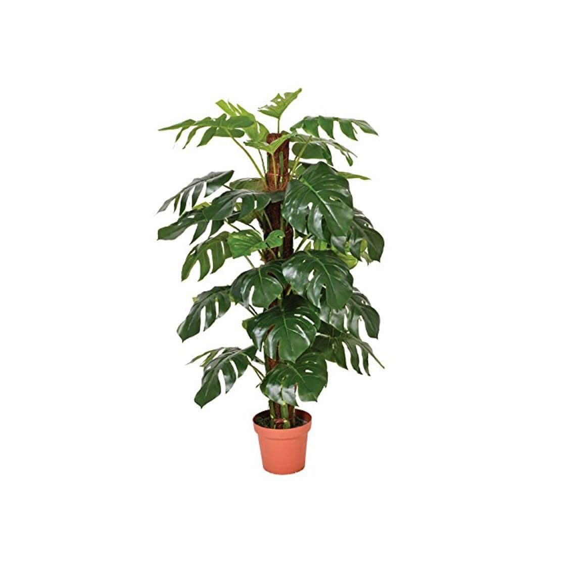 Product Catral 74010020 Planta artificial Monstera